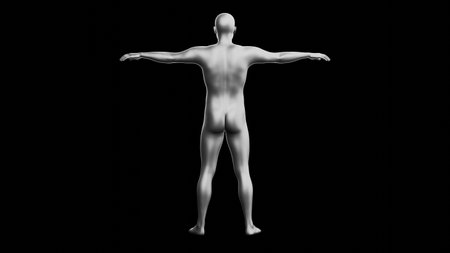 Beautiful young metallic silver man posing, isolated on black background. 3d illustration (rendering). Silver mannequin. Back viewの写真素材