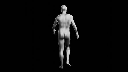 Beautiful young metallic silver man posing, isolated on black background. 3d illustration (rendering). Silver mannequin. Back viewの写真素材