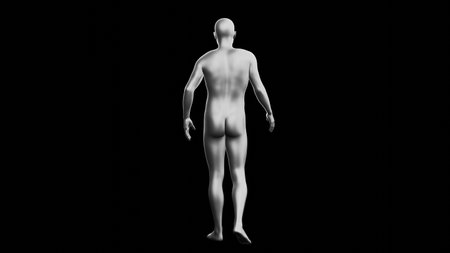 Beautiful young metallic silver man posing, isolated on black background. 3d illustration (rendering). Silver mannequin. Back viewの写真素材