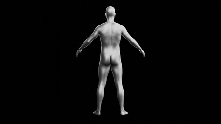 Beautiful young metallic silver man posing, isolated on black background. 3d illustration (rendering). Silver mannequin. Back viewの写真素材