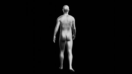 Beautiful young metallic silver man posing, isolated on black background. 3d illustration (rendering). Silver mannequin. Back viewの写真素材