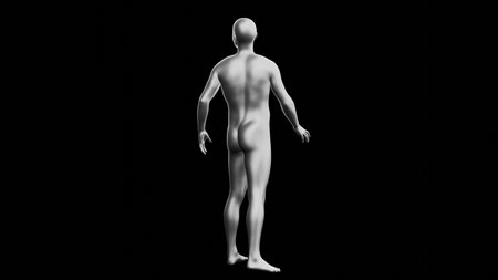 Beautiful young metallic silver man posing, isolated on black background. 3d illustration (rendering). Silver mannequin. Back viewの写真素材