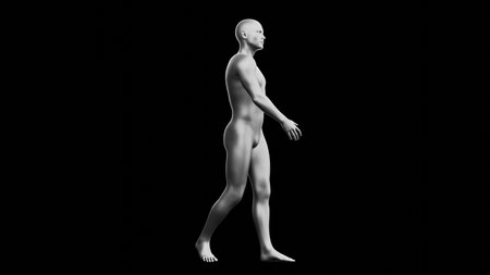 Beautiful young metallic silver man posing, isolated on black background. 3d illustration (rendering). Silver mannequin. Side viewの写真素材