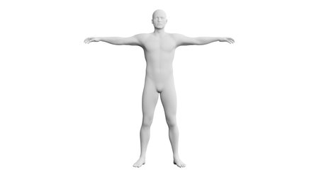 Beautiful athletic young man posing, isolated on white background. 3d illustration (rendering). Artificial intelligence, mannequin. Frontal viewの写真素材