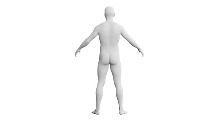 Beautiful athletic young man posing, isolated on white background. 3d illustration (rendering). Artificial intelligence, android, mannequin. Back viewの写真素材