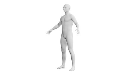 Beautiful athletic young man posing, isolated on white background. 3d illustration (rendering). Artificial intelligence, mannequin. Frontal viewの写真素材