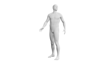 Beautiful athletic young man posing, isolated on white background. 3d illustration (rendering). Artificial intelligence, mannequin. Frontal viewの写真素材