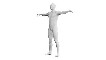 Beautiful athletic young man posing, isolated on white background. 3d illustration (rendering). Artificial intelligence, mannequin. Frontal viewの写真素材