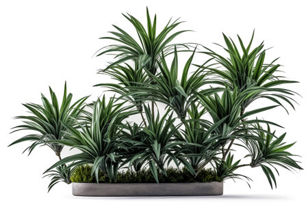 Interior design concept - single plant isolated on pure white background. Illustration. Generative AIの素材