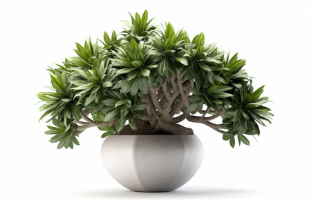 Interior design concept - single plant isolated on pure white background. Illustration. Generative AIの素材