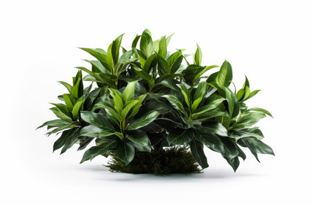 Interior design concept - single plant isolated on pure white background. Illustration. Generative AIの素材