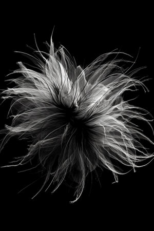Black and white artistic conceptual illustration of a beautiful flower or floral element closeup. Created with generative AIの素材