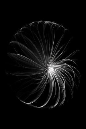 Black and white artistic conceptual illustration of a beautiful flower or floral element closeup. Created with generative AIの素材