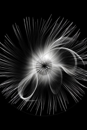 Black and white artistic conceptual illustration of a beautiful flower or floral element closeup. Created with generative AIの素材
