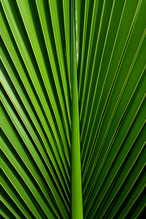 African Palm Leaf Closeup with Digital Symmetry on Shaped Canvas. Generative AIの素材