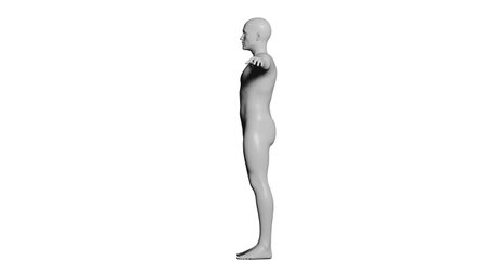 White Male Mannequin in T-Pose Isolated on White Background. Side View (Lateral). 3D renderingの写真素材