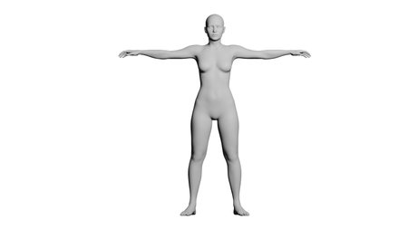 White Female Mannequin in T-Pose Isolated on White Background. Front View. 3D renderingの写真素材