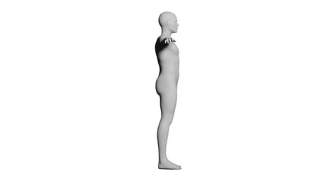 White Male Mannequin in T-Pose Isolated on White Background. Side View (Lateral). 3D renderingの写真素材