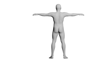 White Male Mannequin in T-Pose Isolated on White Background. Back View. 3D renderingの写真素材