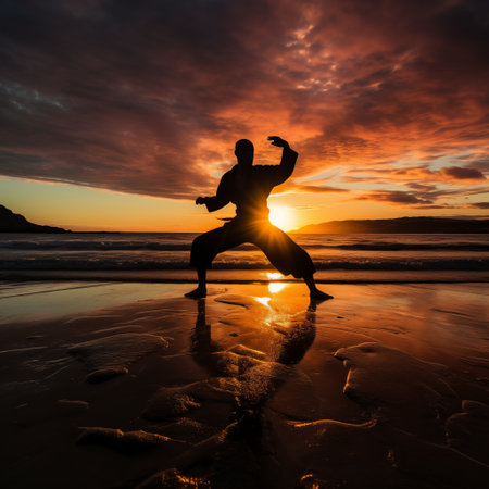 Silhouette of man practicing karate on the beach at sunsetの素材