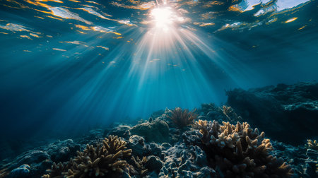 Underwater view of a tropical coral reef with sunbeams.の素材