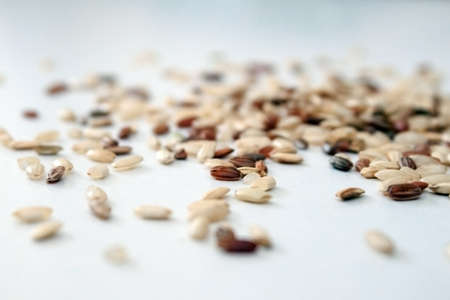 Brown rice on a white backgroundの写真素材