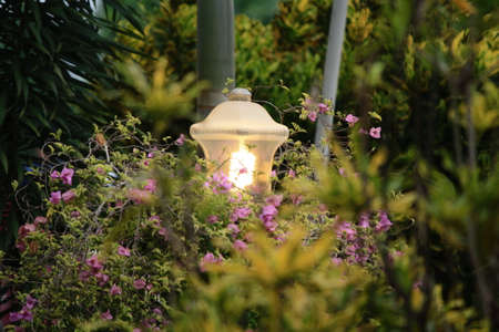 garden lights in the garden that are already lit in the afternoonの写真素材