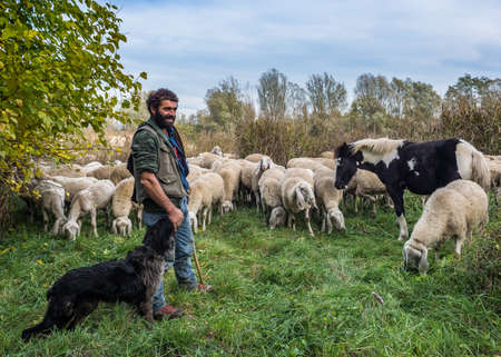 Reportage of Sheep-farming in the Bergamasca plain. Brambilla Simone Live Newsのeditorial素材