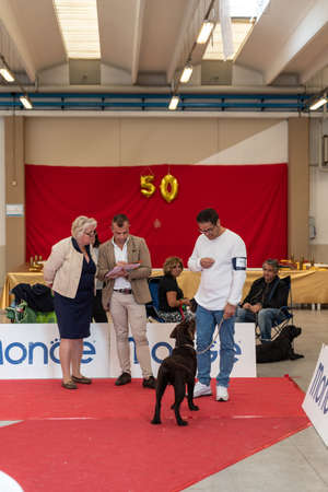 Bergamo, Italy - October 14, 2018: In the town of Chiuduno, the thirty-fifth exhibition of purebred dogs took place. Morning session, judgment categories of race. Brambilla Simone Live News photographerのeditorial素材