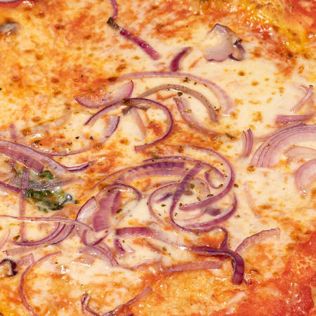 Close up shot of pizza with onions, detail of typical Italian dish, food photographyの写真素材