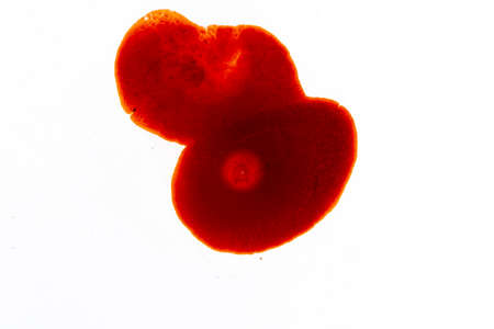 Image of blood-colored liquids mixed with other organic fluids, abstract chemical detailの写真素材