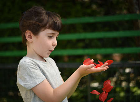 A little girl blows on red petals to make them fly from her hands, profile picture on a dark backgroundの写真素材