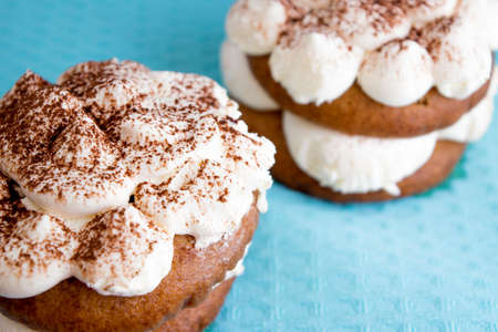 Pair of tiramisu desserts on bright blue tablecloth toned selective focusの写真素材