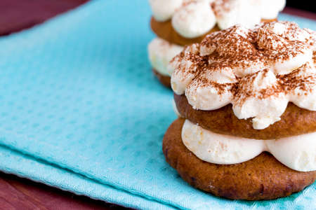 Pair of tiramisu desserts on bright blue tablecloth toned selective focusの写真素材