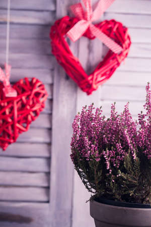 Rattan hearts hanging on white wooden louvers. Valentines Day Celebration concept. Heather flowers bouquet.の写真素材