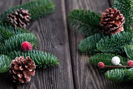 Christmas tree branches with cones and frozen berries. Rustic new year.