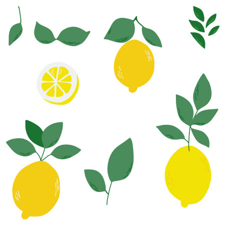Bright lemons set with leavesのイラスト素材