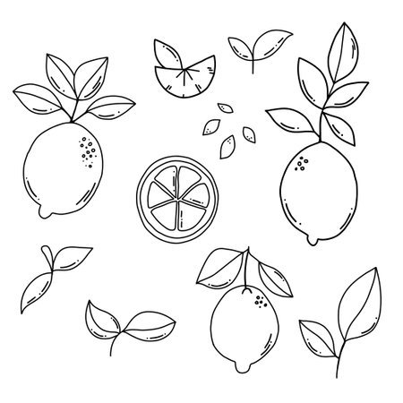 Black outline doodle lemons and leaves setのイラスト素材