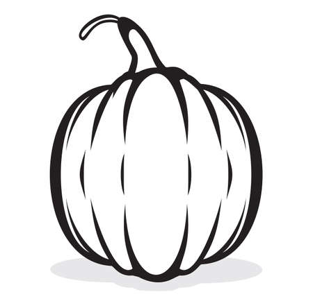 Black and white pumpkinのイラスト素材