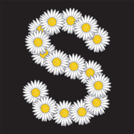 daisy letterのイラスト素材