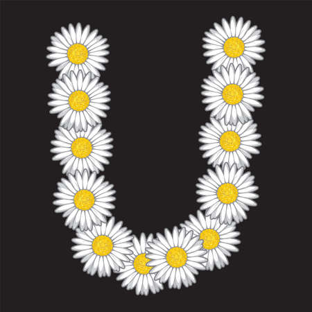 daisy letterのイラスト素材