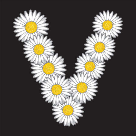 daisy letterのイラスト素材