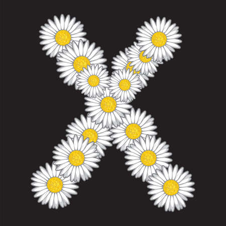 daisy letterのイラスト素材