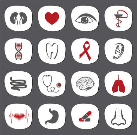 organs icon setのイラスト素材