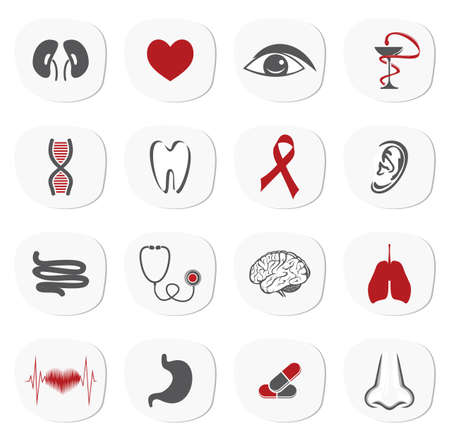 organs icon setのイラスト素材
