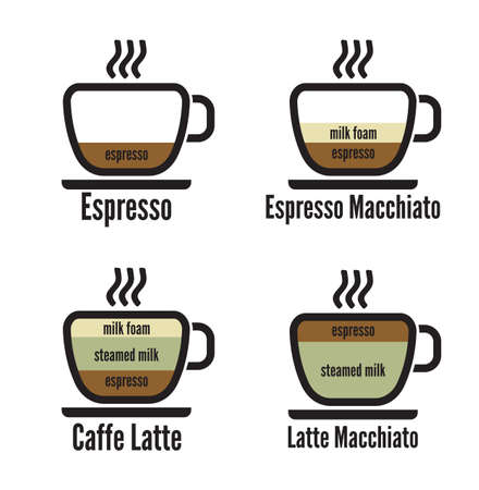 diagram types of coffeeのイラスト素材