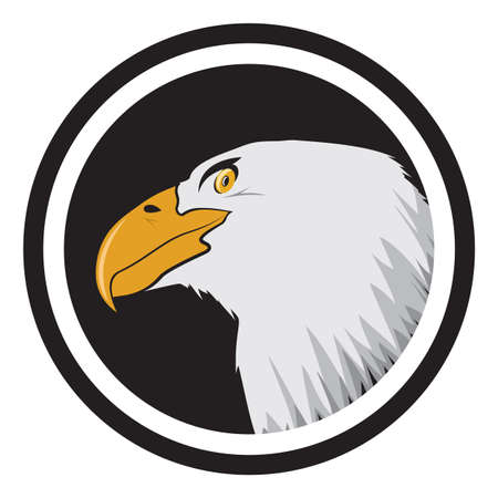 American bald eagle labelのイラスト素材
