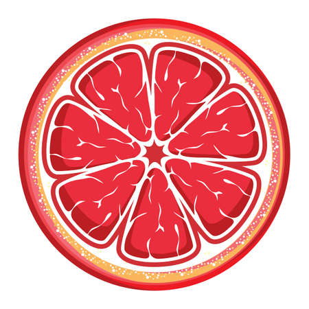 grapefruit slice isolated on whiteのイラスト素材
