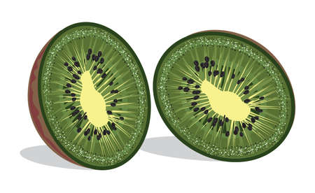 slices of kiwiのイラスト素材