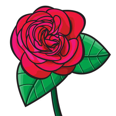 Red rose illustrationのイラスト素材